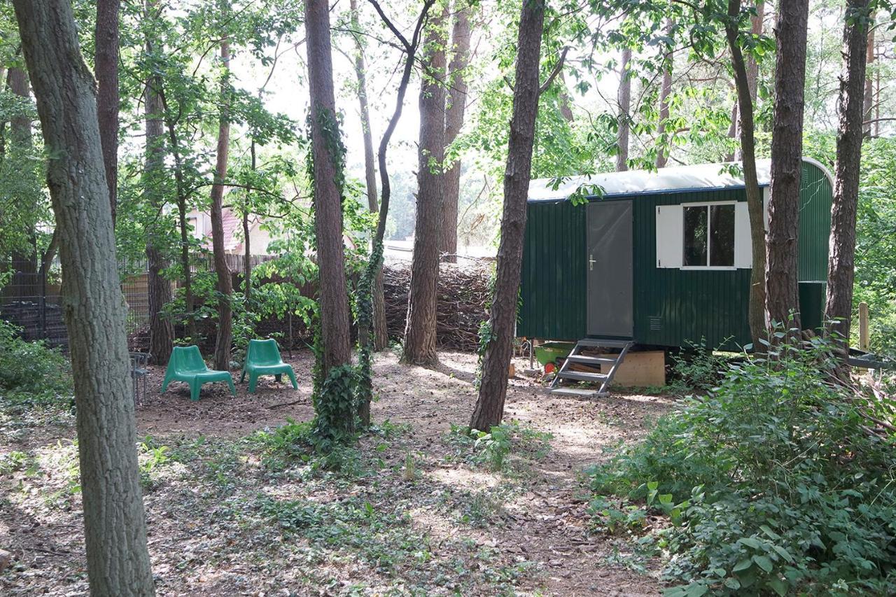 הוילה ביליץ Wald Und Wohlsein מראה חיצוני תמונה