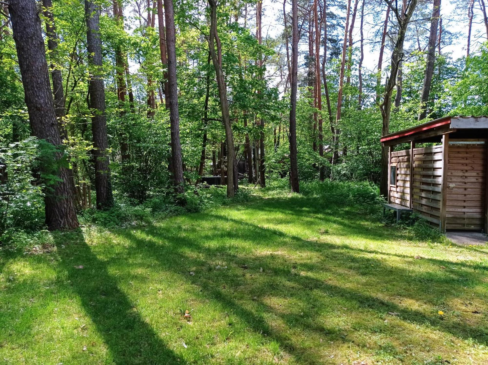 הוילה ביליץ Wald Und Wohlsein מראה חיצוני תמונה