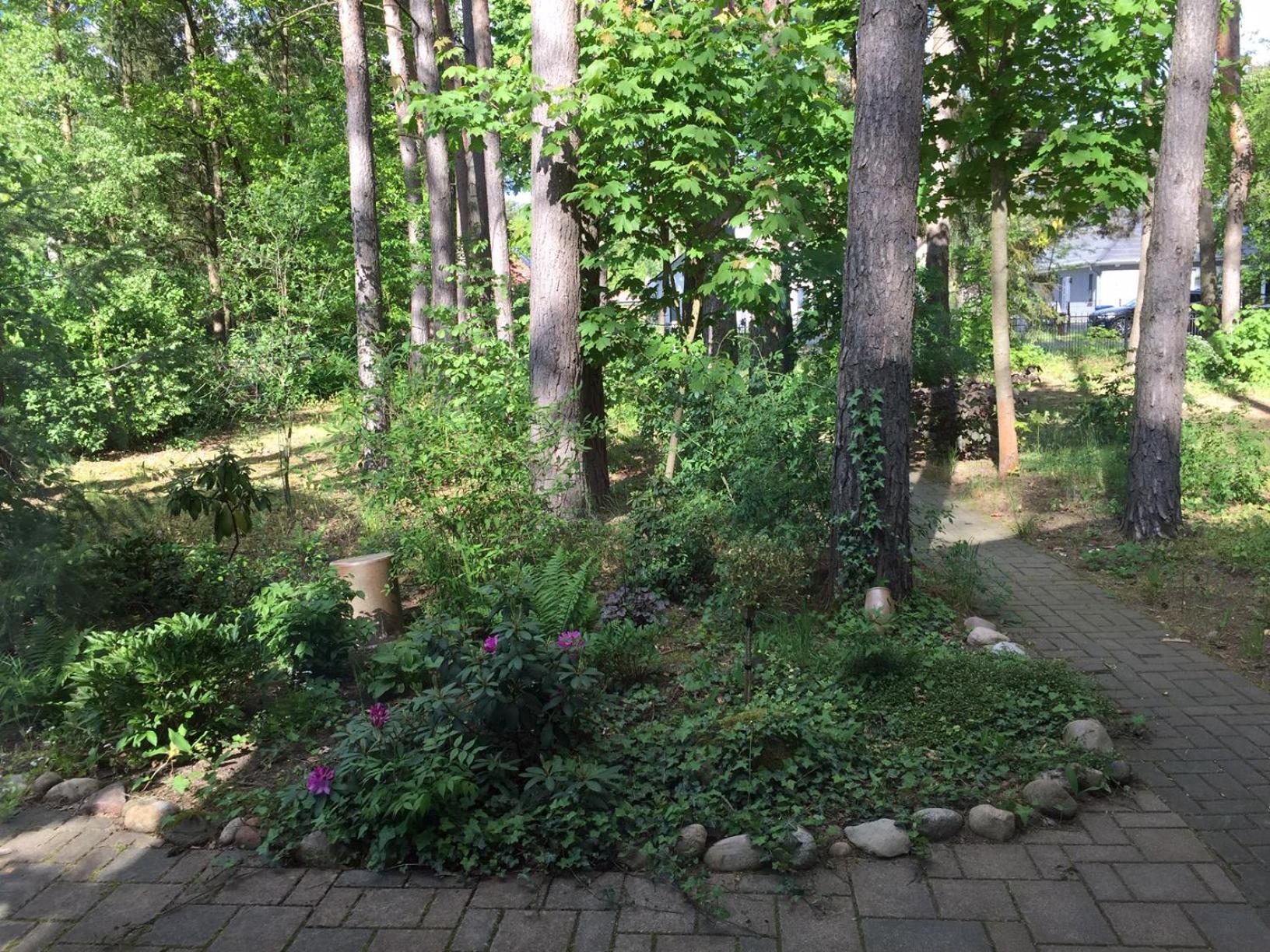 הוילה ביליץ Wald Und Wohlsein מראה חיצוני תמונה